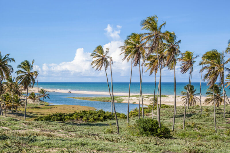 Excursão Regional