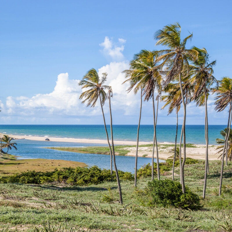 Excursão Regional